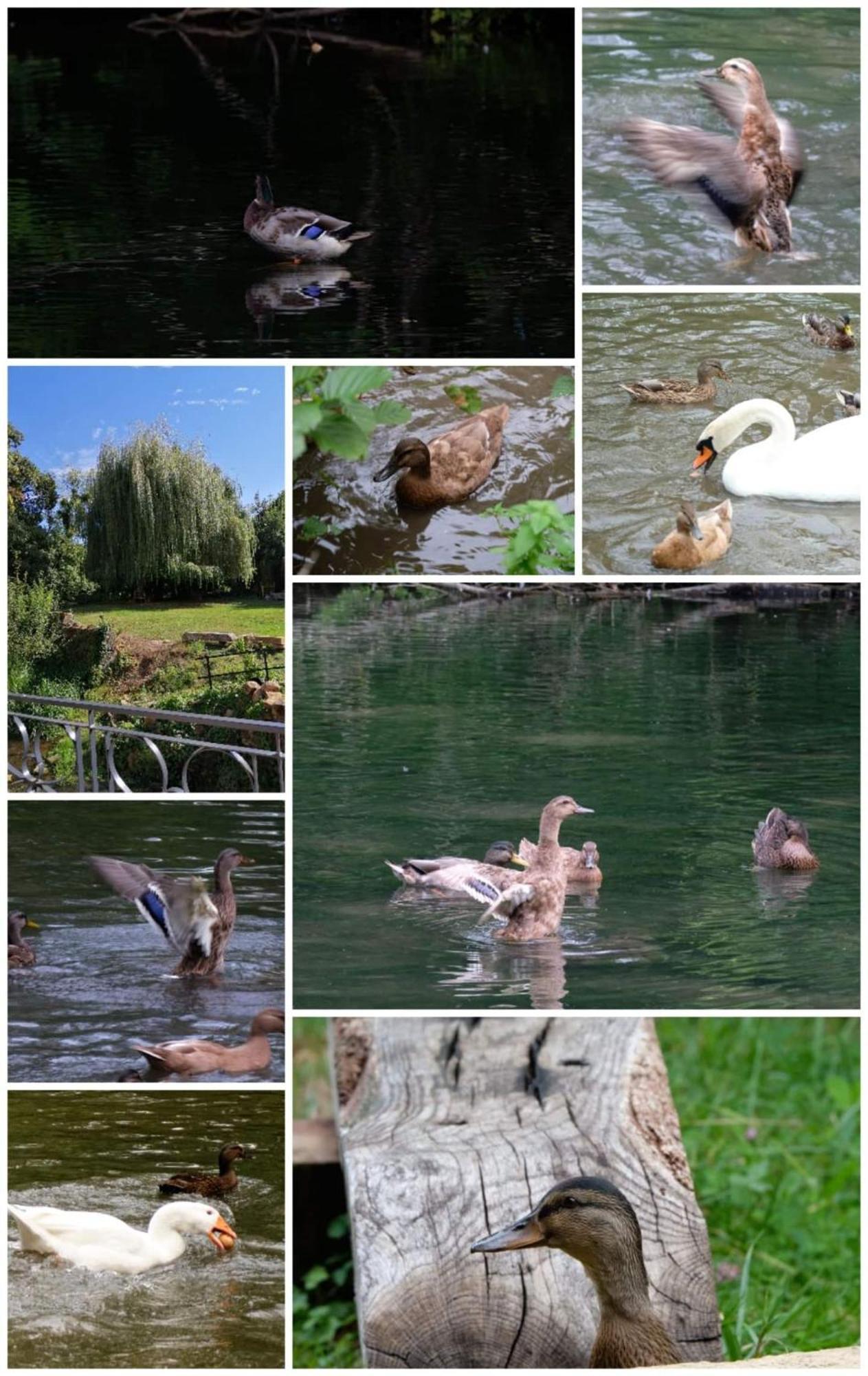 Вилла O Jardin De Boutancourt Экстерьер фото